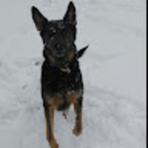 Meet your Posher, James